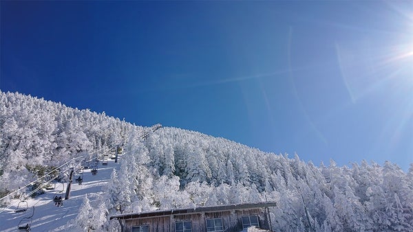 【新宿夜発】ぶっとび!日帰りスキー&スノボ|志賀高原スキー場(横手山・渋峠エリア限定リフト券付)1